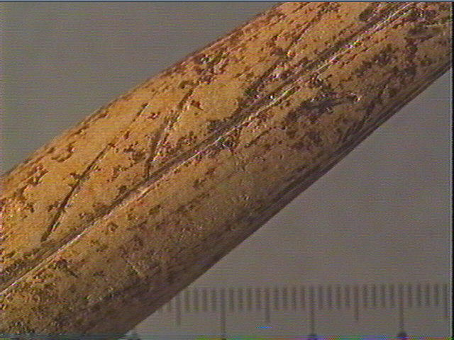 Pointe_2