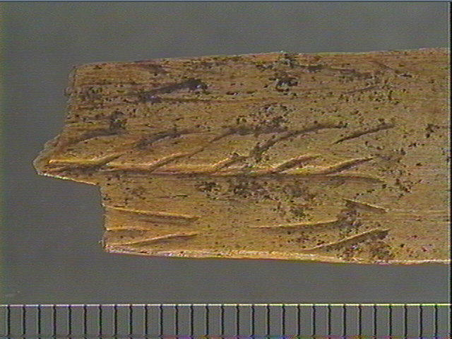 Lissoir_4