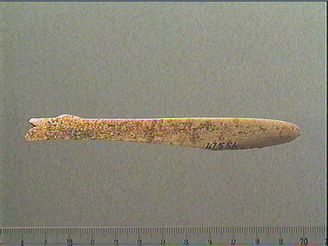 Lissoir_1