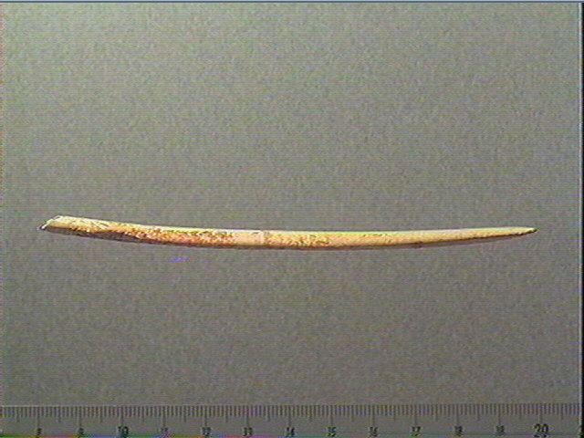 Lissoir_2