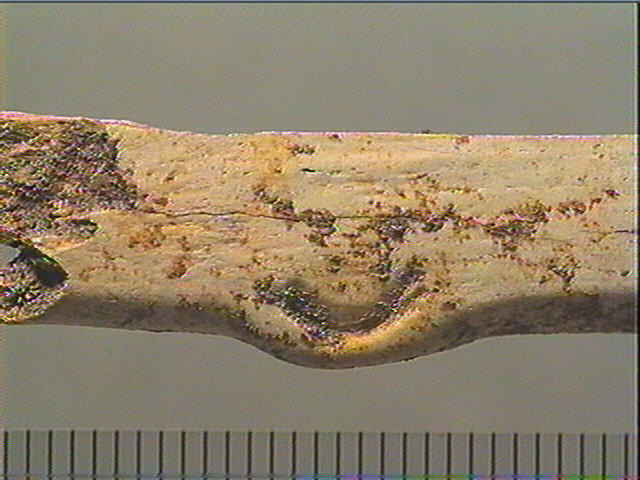 Lissoir_3