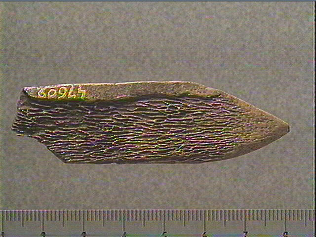 Lissoir_1