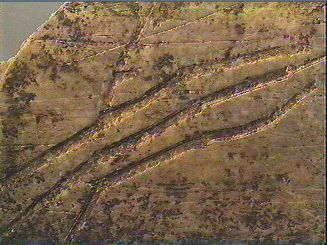 Lissoir_4