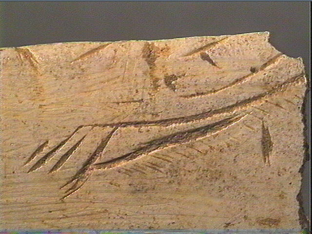 Lissoir, côte_5
