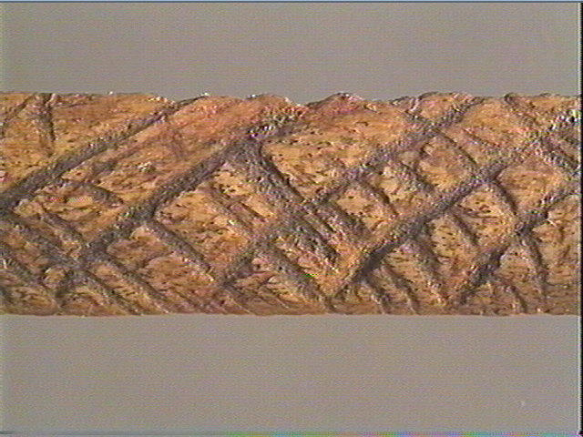 Os indéterminé (oiseau)_4