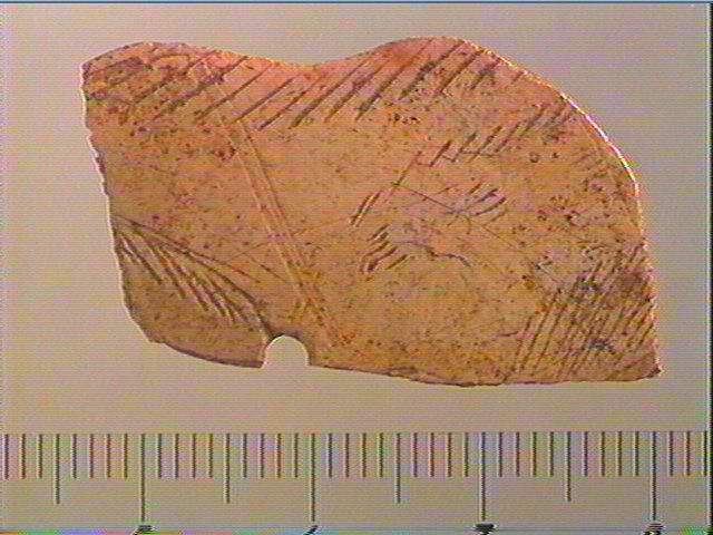 Contour découpé_0