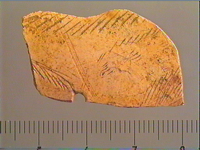Contour découpé_1