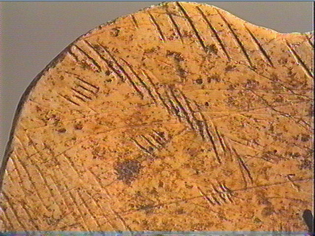 Contour découpé_5