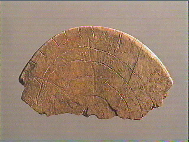 Rondelle, scapula_2