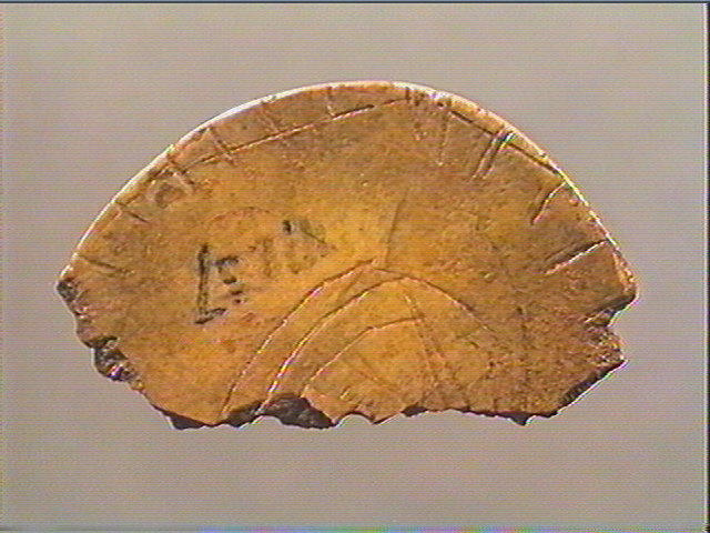 Rondelle, scapula_4
