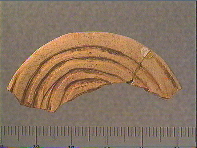 Rondelle, scapula_0