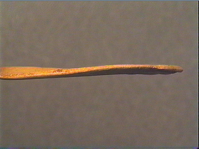Rondelle, scapula_2