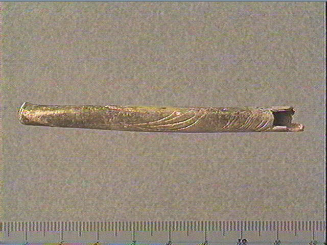 Tube (2), os indéterminé (oiseau)_2