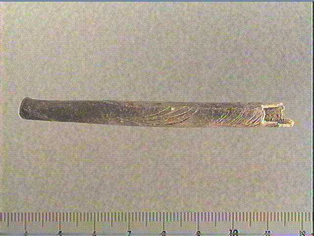 Tube (2), os indéterminé (oiseau)_3
