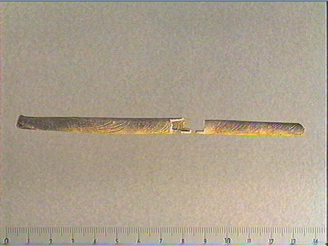 Tube (2), os indéterminé (oiseau)_0