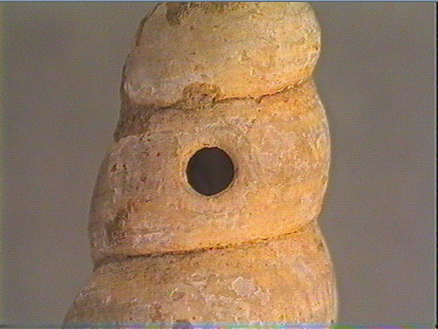 Coquillage_3