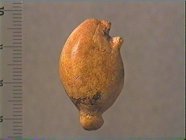 Pendeloque_3