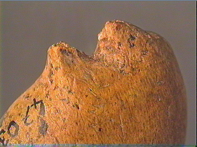 Pendeloque_5