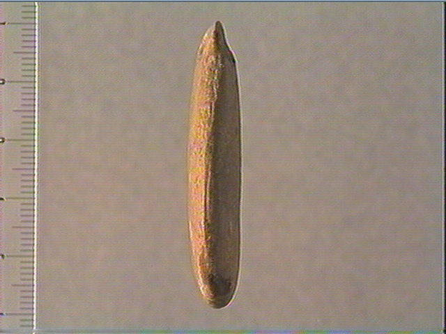 Pendeloque_2