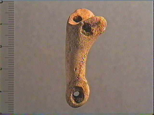 Phalange_0
