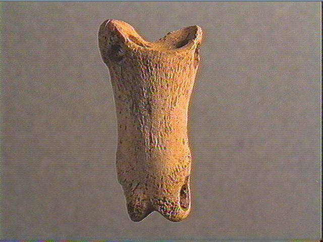 Phalange_1