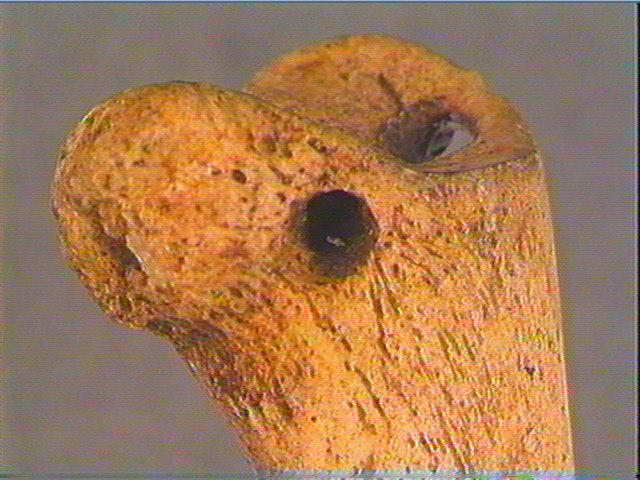Phalange_6