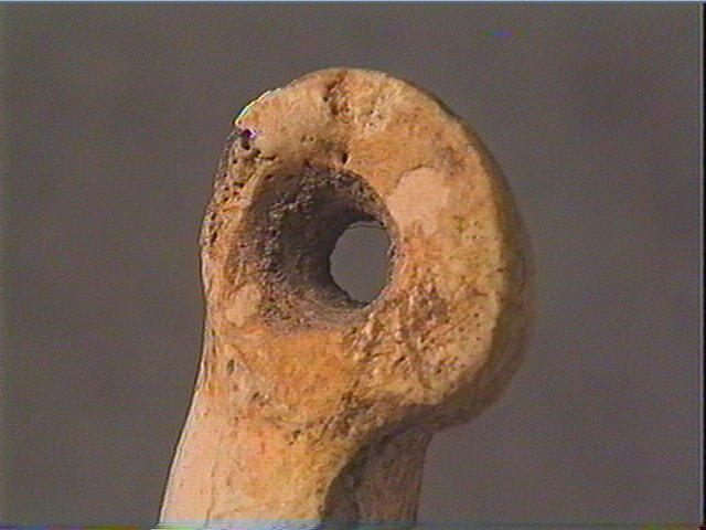 Phalange (perforé, renne)_6