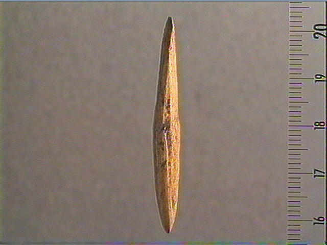 Pointe de sagaie_2