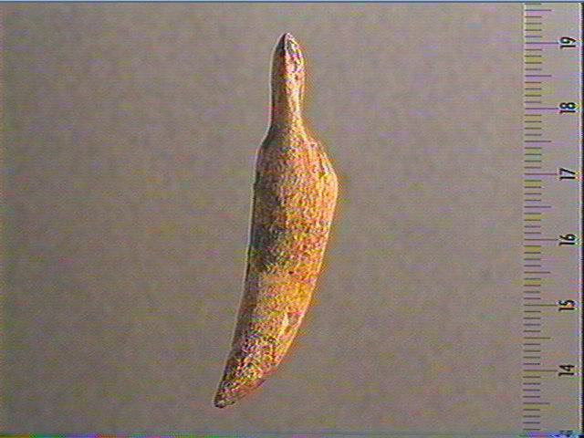 Andouiller (renne), pendeloque_4