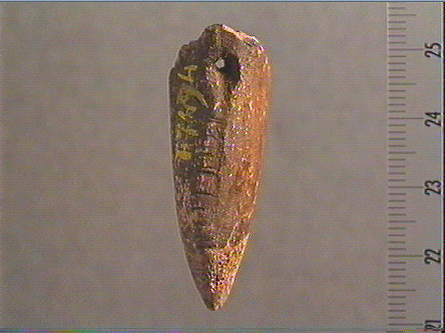 Pendeloque_0