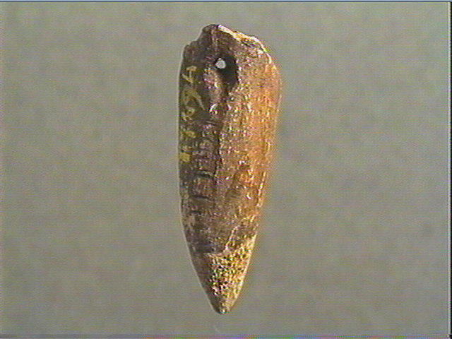 Pendeloque_1