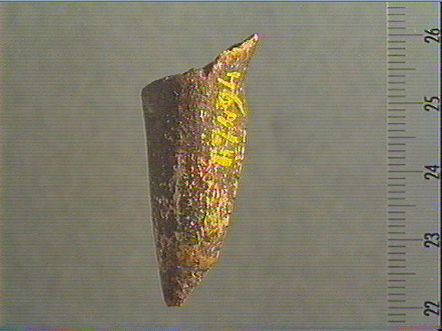 Pendeloque_2