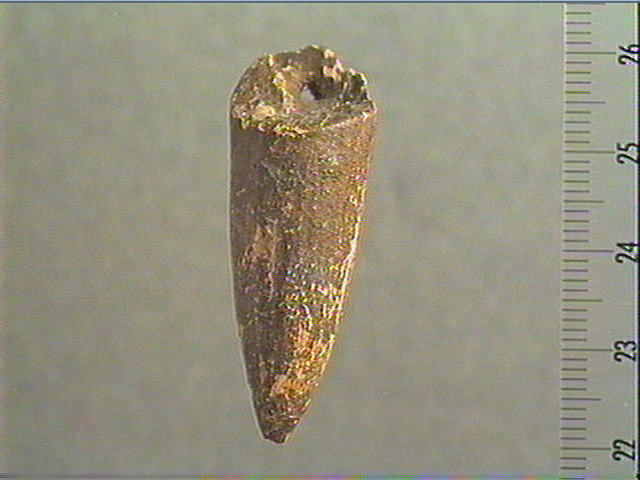 Pendeloque_3
