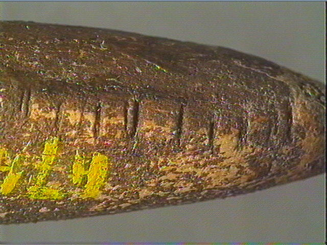 Pendeloque_5
