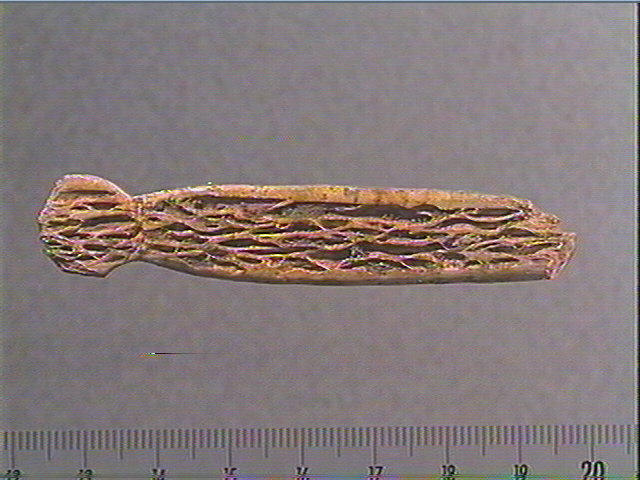 Pendeloque_2