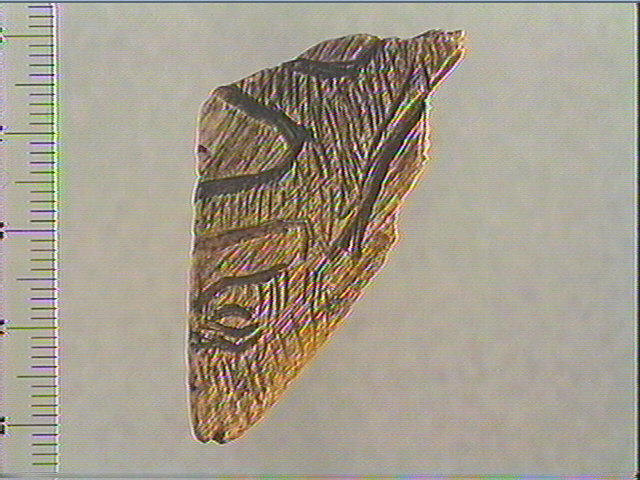 Côte, contour découpé_0