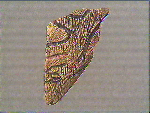 Côte, contour découpé_1
