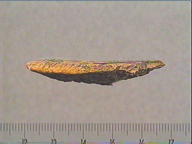 Côte, contour découpé_2