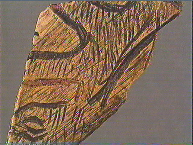 Côte, contour découpé_4