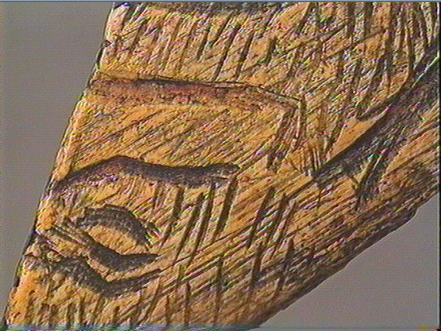Côte, contour découpé_5