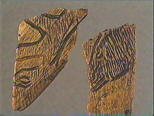 Côte, contour découpé_6