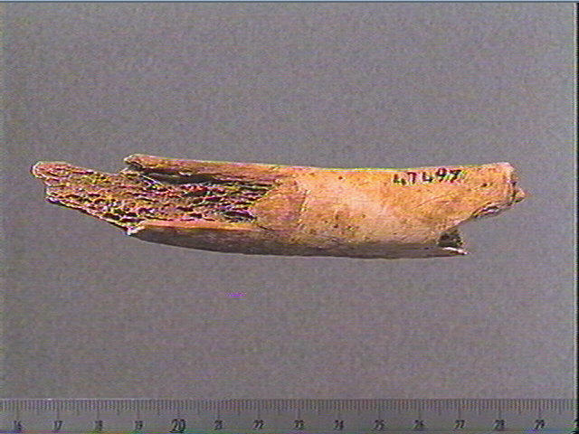 Côte_2