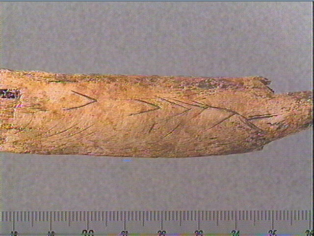Côte_3