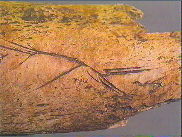 Côte_4