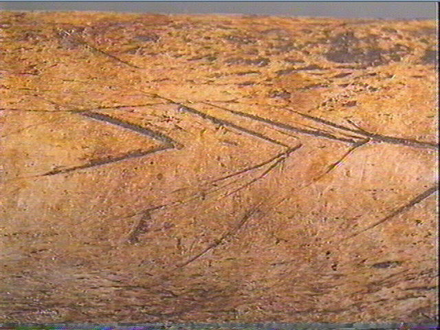 Côte_5