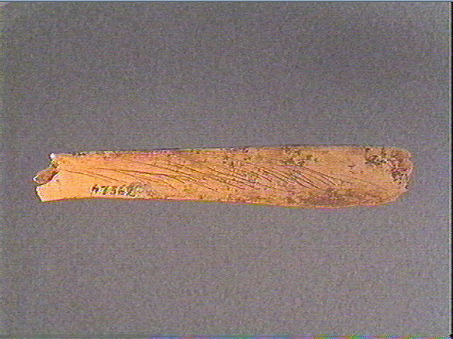 Côte_1