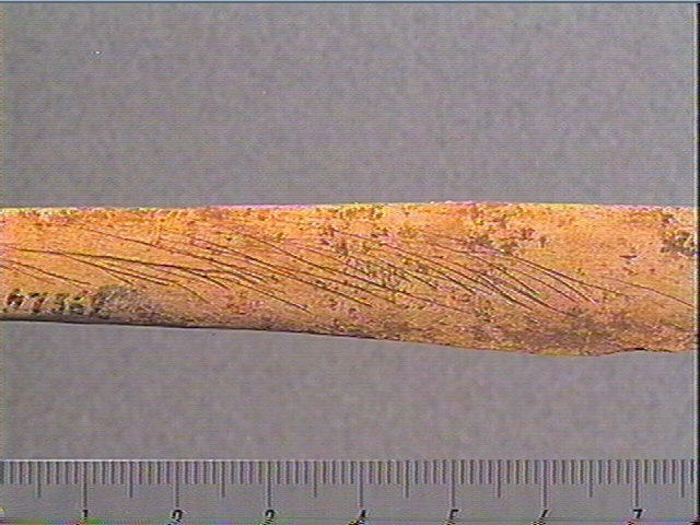 Côte_4