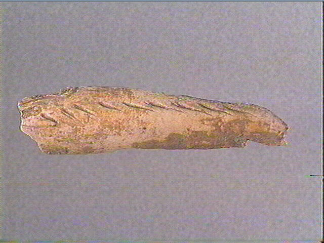 Andouiller (renne)_1