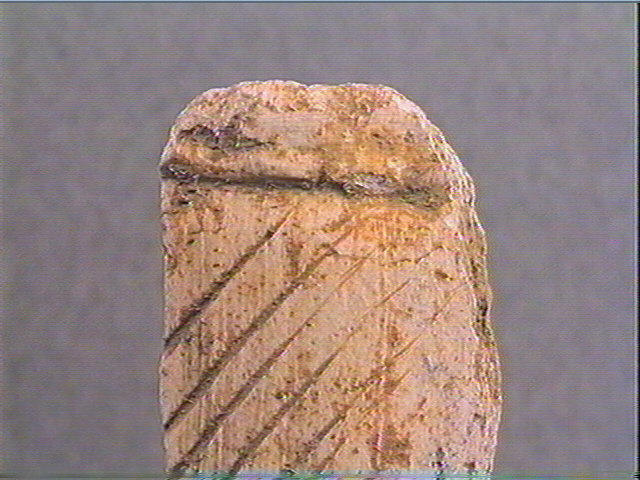 Andouiller (renne)_3