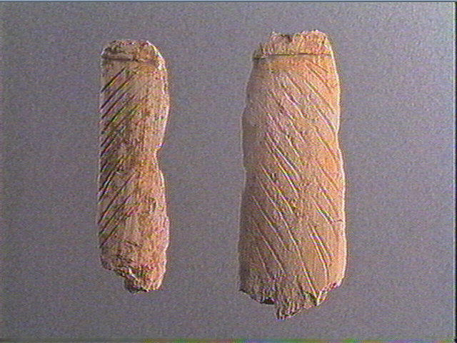 Andouiller (renne)_5